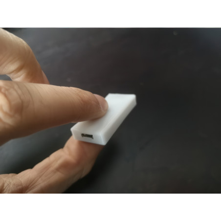 Schutzgehäuse für Arduino Nano 33 IOT